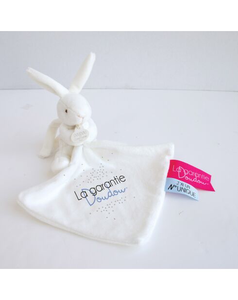 Pantin Lapin Avec Mouchoir blanc