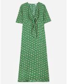 Robe Moritz verte