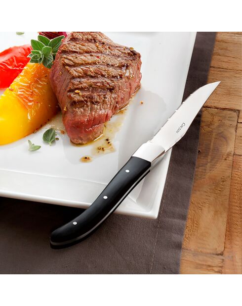 6 Couteaux à steak Curv en acier noirs