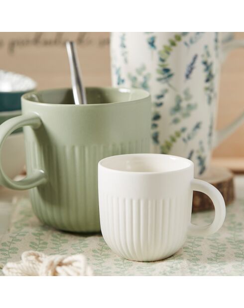 6 Mugs Nature Botanique blanc/vert -  40 cl