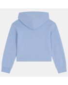 Sweat à capuche demi zip bleu ciel