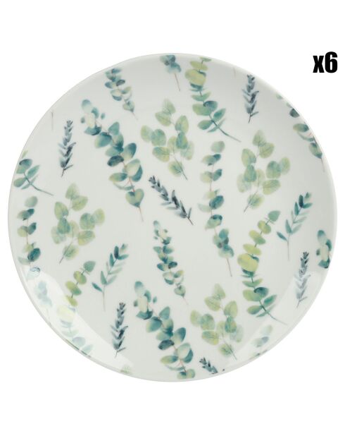 6 Assiettes dessert en Porcelaine Nature Botanique blanc/vert -  D.19 cm