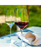 6 Verres à vin rouge Expérience transparents  - 45cl