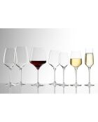 6 Verres à vin blanc Expérience transparents  - 28.5cl
