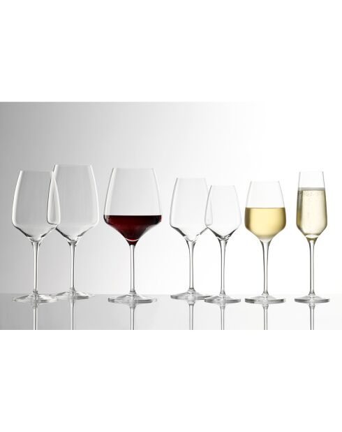 6 Verres à vin blanc Expérience transparents  - 28.5cl