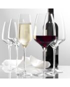 6 Verres à Porto Expérience transparents  - 19cl