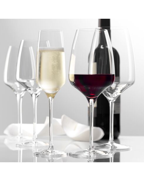 6 calici da champagne Experience trasparenti - 19cl