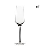 6 Flûtes à Champagne Expérience transparentes  - 19cl