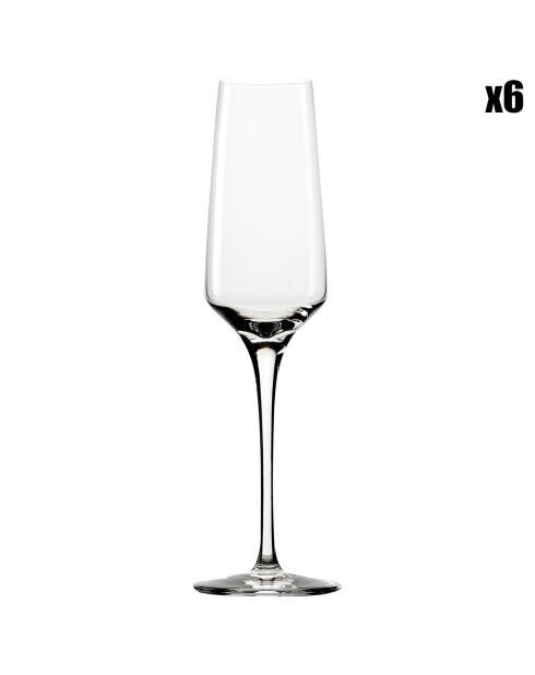 6 Flûtes à Champagne Expérience transparentes  - 19cl