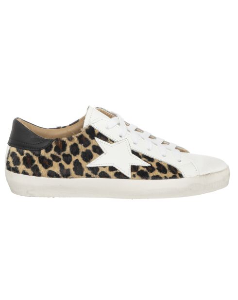 Sneakers en Cuir Rosia blanc/léopard