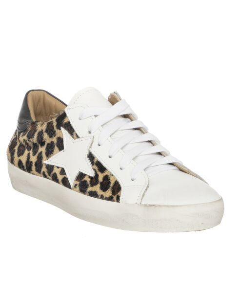 Sneakers en Cuir Rosia blanc/léopard