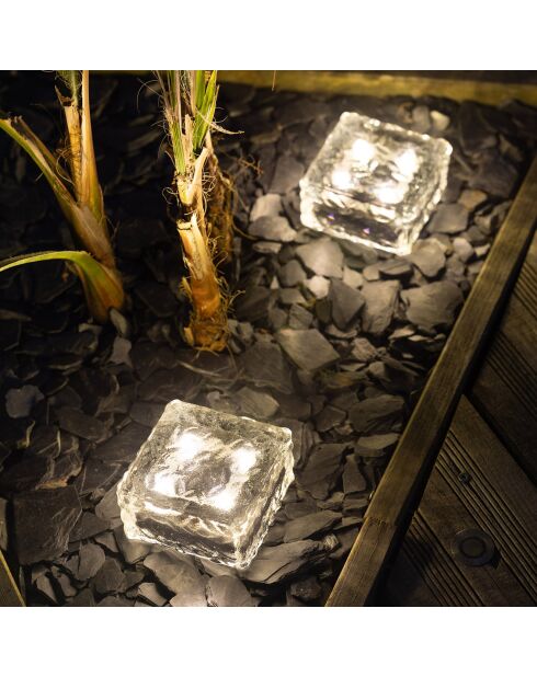 Cube de glace solaire transparent - 10x10x5 cm