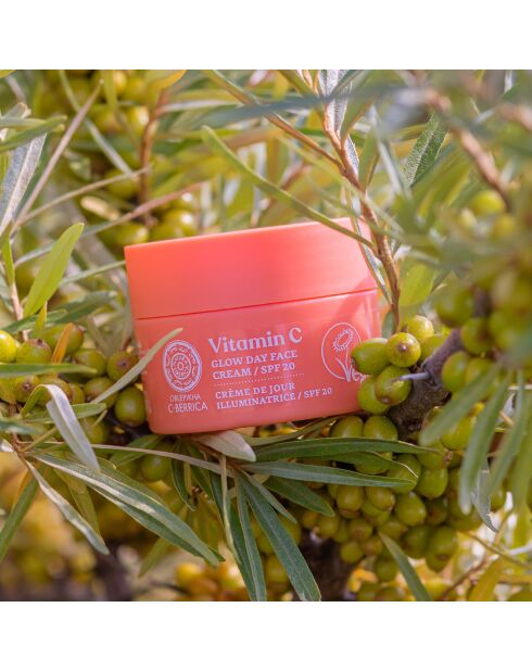 C-Berrica Aufhellende Gesichts-Tagescreme SPF20 - 50 ml