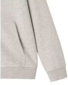 Sweat à capuche Zipper Mexico gris chiné
