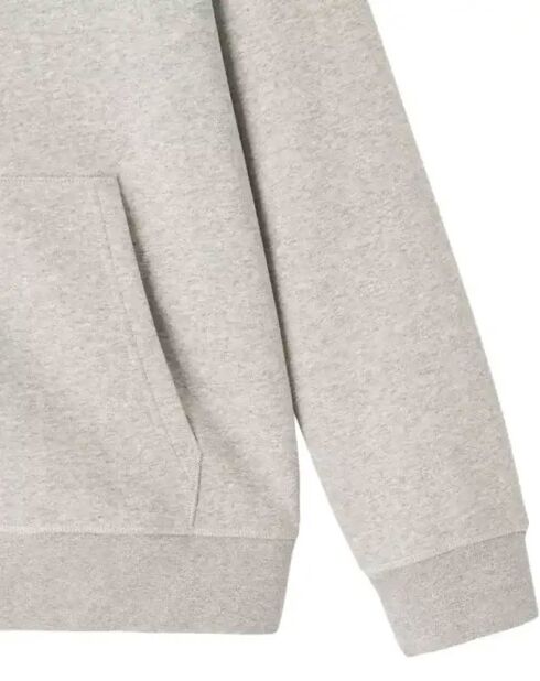 Sweat à capuche Zipper Mexico gris chiné