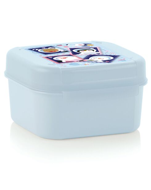 3 piccole scatole portaoggetti Signature multicolori