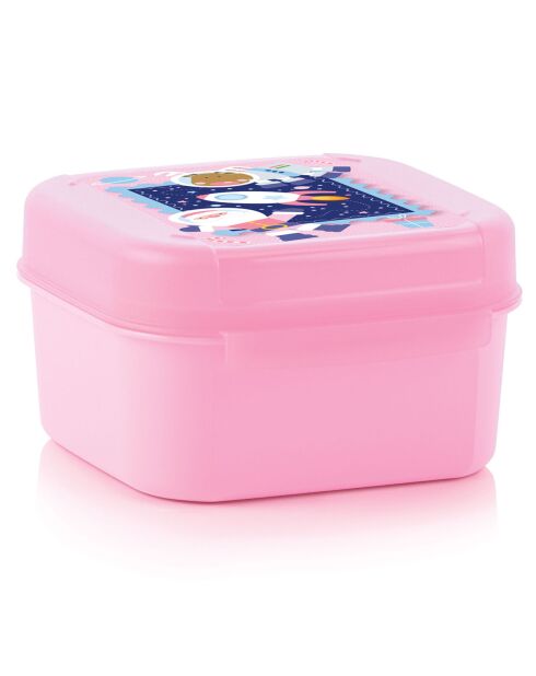 3 piccole scatole portaoggetti Signature multicolori