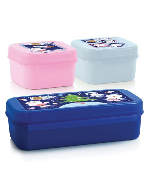 3 piccole scatole portaoggetti Signature multicolori