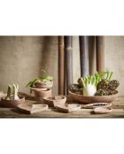 3 Coupelles coeur Dalbert naturel