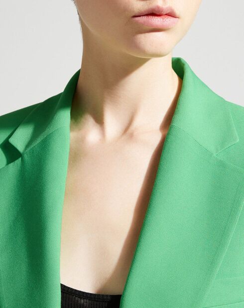 Veste blazer Guia verte