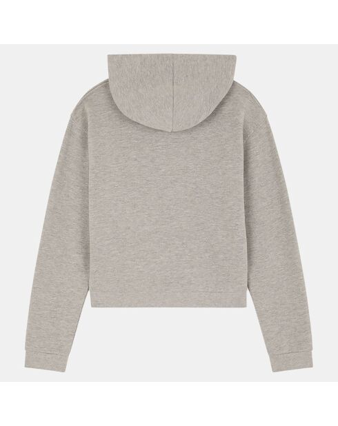 Sweat zippé Cecilia court gris chiné