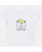 T-Shirt Biba slub print écru