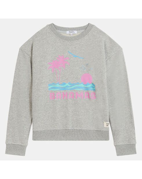 Sweat Joa bis print gris chiné