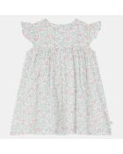 Robe en Coton Bio Amuna bis poplin aop écru/vert