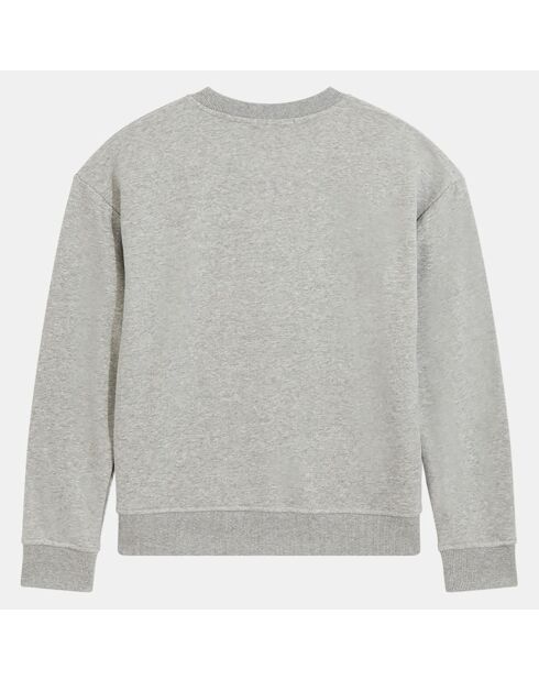 Sweat Joa bis print gris chiné