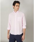 Chemise regular Paul Pat parme