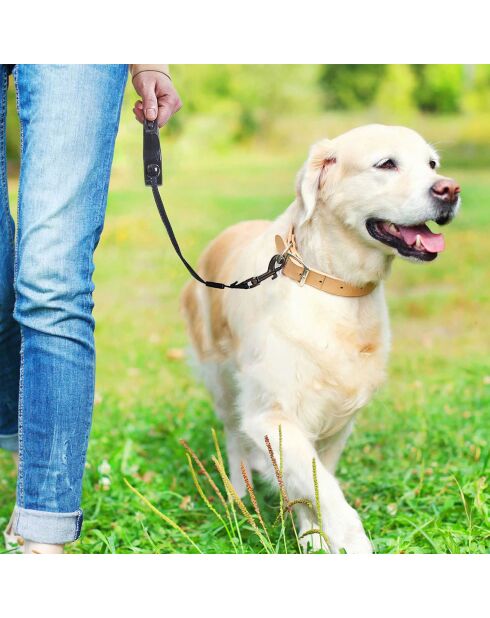 Laisse avec enrouleur coloris aléatoire