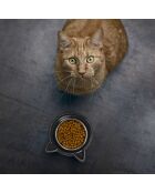 2 Gamelles Tête de Chat coloris aléatoire