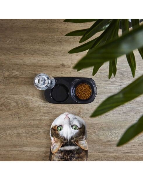 Gamelle et Distributeur eau noire