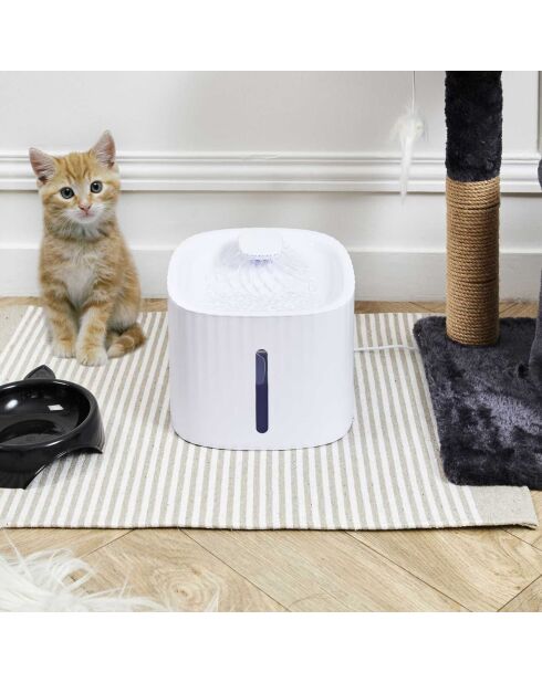 Fontaine à Eau blanche