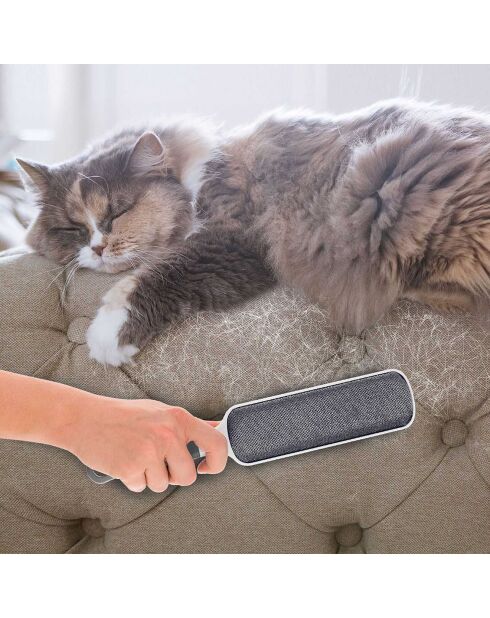 2 Brosses anti peluches grises