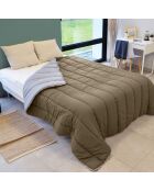 Couette Bicolore Taupe /beige taupe/beige