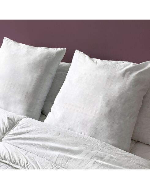 2 Oreillers anti-Static Moelleux blancs