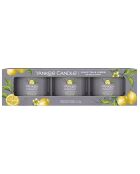 Set mit 3 Votivduftkerzen Signature Black Tea and Lemon — 1 Docht 10 Stunden