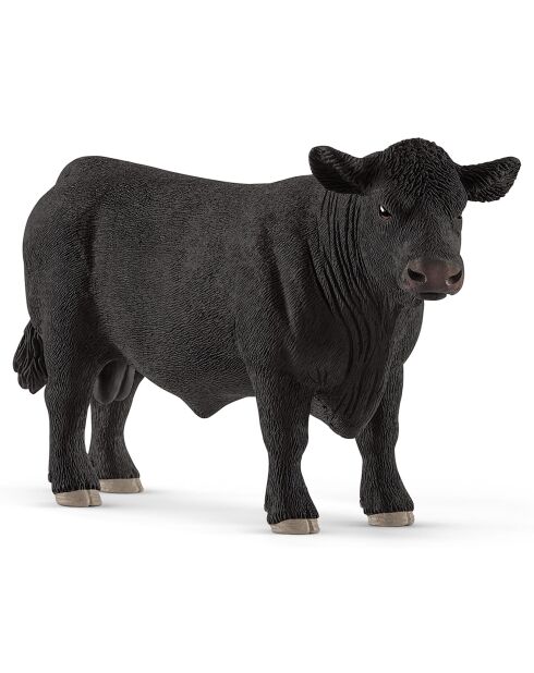 Taureau Angus multicolore