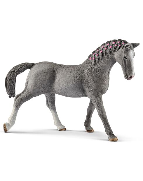 Jument Trakehnen multicolore