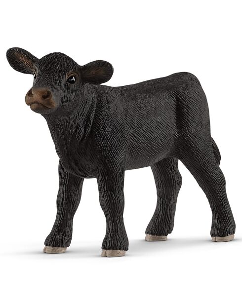 Le Veau Black Angus multicolore
