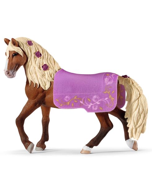 Étalon Paso Fino Spectacle équestre multicolore