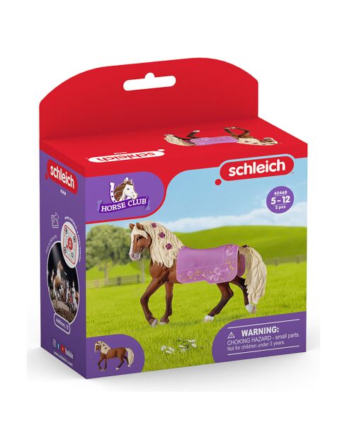 Étalon Paso Fino Spectacle équestre multicolore