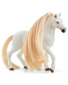 Salon de Beauté pour chevaux multicolore