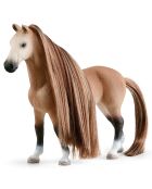 Salon de Beauté pour chevaux multicolore