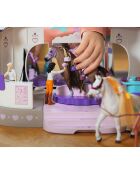 Salon de Beauté pour chevaux multicolore