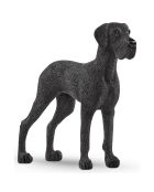 Dogue Allemand multicolore