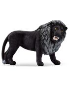 Black Lion  multicolore