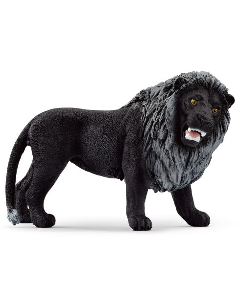 Black Lion  multicolore