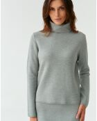 Grijze sweater Pimpo 1